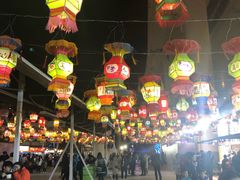 -锦江乐园舞狸花花游园会(夜场专享)
