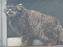 -青藏高原野生动物园