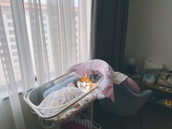 -喜喜月子会所(中酒馆)