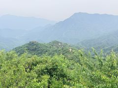 -大岭沟猕猴桃谷风景区