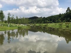 -东莞植物园
