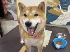 -伽利略剧本探案馆(国贸店)