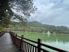 -广州白江湖森林公园