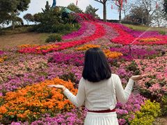 -东莞植物园