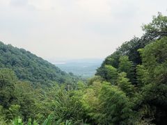 -韬光茶庵