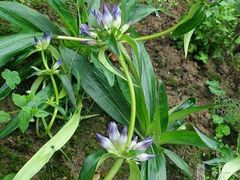 -中医药大学-老3楼餐厅