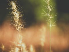 -上海交通大学(闵行校区)