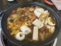 -蘑统田下·野生菌火锅