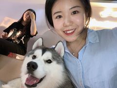 -Husky Go! 哈士奇体验馆·宠物咖啡厅狗咖