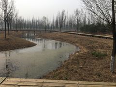 -东郊湿地公园