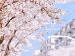 -永乐路-路侧停车场