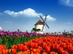 -洪湖湿地生态园