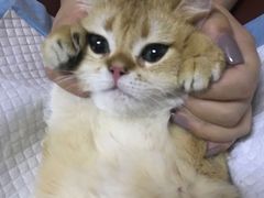 -北京佳信宠物医院
