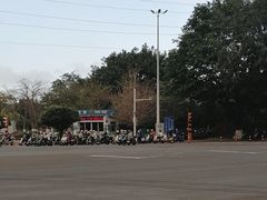-万绿园
