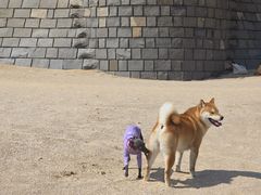 -宁波松兰山滨海旅游度假区