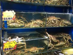 -蚝专家(北滘店)
