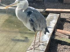 -青藏高原野生动物园