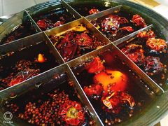 -白乐天毛肚火锅馆(南滨路店)