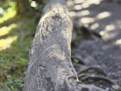 -夏威夷火山国家公园