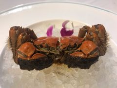 -上海古井假日酒店 · 徽昇楼中餐厅