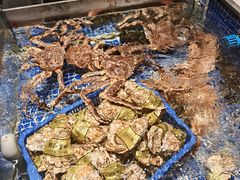 -高佳庄·舟山海鲜(海景旗舰店)