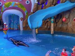 -烟台海昌鲸鲨海洋公园