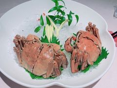 -蟹榭·莳鲜(虹桥高岛屋店)