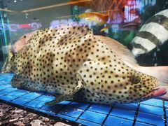 -聚福宝合苑食府(南头镇店)