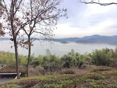 -天目湖涵田半山温泉