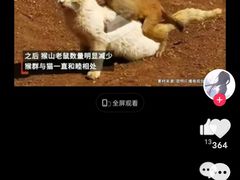 -昆明动物园