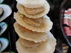 扇贝-丽江庭院之爱在路上(西单店)