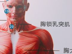 -通透堂中医·精准推拿(旗舰店)