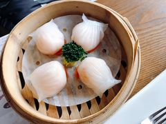 虾饺-香港表哥茶餐厅(银泰百货店)