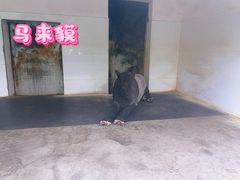 -合肥野生动物园