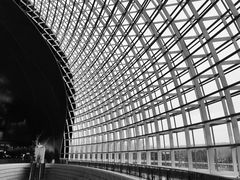 门面-国家大剧院
