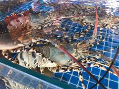 -阿浪海鲜连锁加工店(B栋2排1号火车头店)
