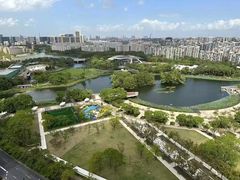 -新江湾城公园