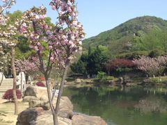 -白马涧龙池景区