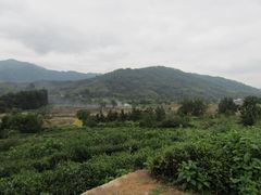 -塔川景区