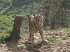 -大连森林动物园