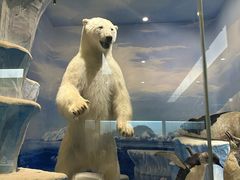 -国家自然博物馆