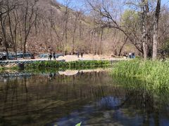 -白水寺森林公园
