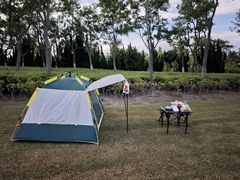 -春花秋色城市公园