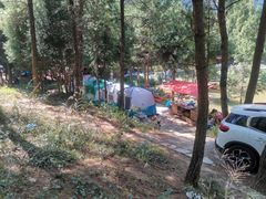 -重庆睡佛山森林公园