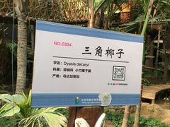 -呀路古热带植物园