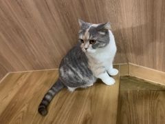 -藦茜花园宠物主题亲子互动体验馆(国顺东路店)