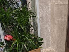 -茶理宜世(东方宝泰店)