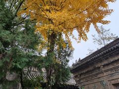 -西安关中民俗艺术博物院