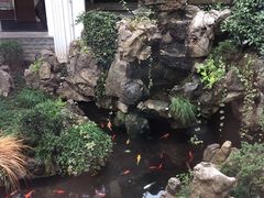 -上海市皮肤病医院(武夷路院区)