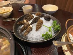 -滇野云南野生菌餐厅(陕西南路店)